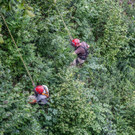 20180709_fmt_Bergputzer_muellnerhauptstrasse_mw-10.jpg