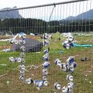 20180709fmt_elf18danach_ta_021.JPG