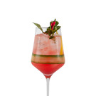 06_Kattus Rose Spritz.jpg