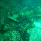 AFP_17A8OM.jpg