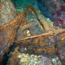 AFP_17A8OK.jpg