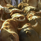 AFP_17E89F.jpg