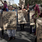 AFP_ON6XL.jpg