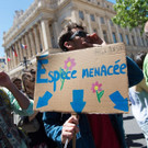 AFP_ON56D.jpg
