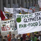 Switzerland_Monsanto_Protest_34053.jpg