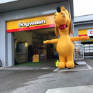 IMG-20180711-WA0002.jpg