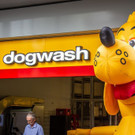 20180711_fmt_Dogwash_mw-7.jpg
