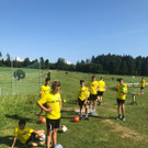 WhatsApp Image 2018-07-09 at 22_11_39.jpeg