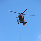 IMG_1651.jpg