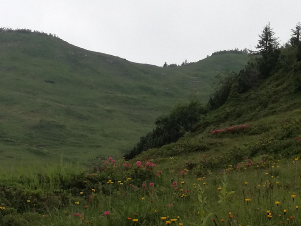 IMG_20180710_122017.jpg