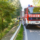 eins_bea.jpg