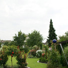 Lustenau K__nig Irmi G DSC01881.JPG