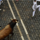 Spain_Running_of_the_Bulls_31085.jpg