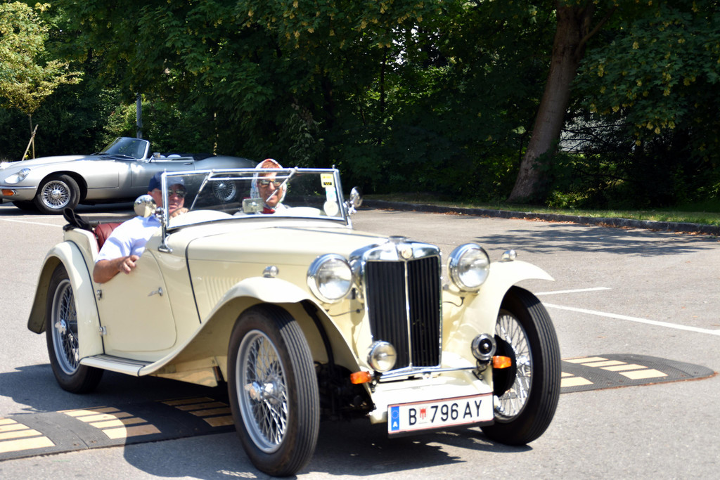 DSC_0278.JPG