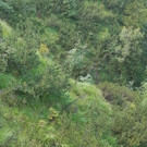 20180714_154830.jpg