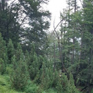20180714_175928.jpg