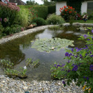 Lustenau Rhomberg G DSC01896.JPG