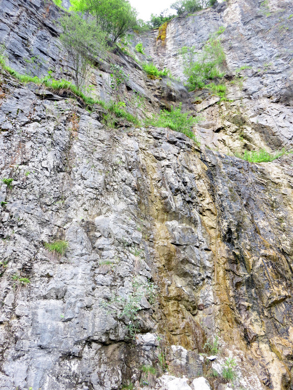 IMG_3090.JPG
