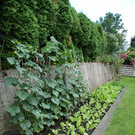 Schwarzach Mathis G DSC01923.JPG