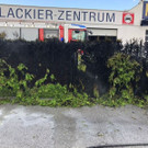 Zell 5.jpg