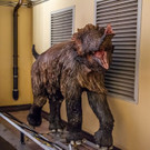 20180717_fmt_Mammut_haus_der_natur_mw-4.jpg