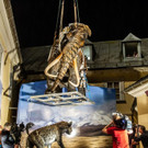 20180717_fmt_Mammut_haus_der_natur_mw-27.jpg
