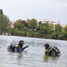 ffmoedling_at _1_.jpg