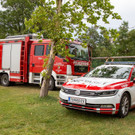 ffmoedling_at _4_.jpg