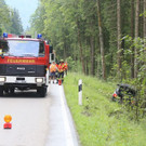 B305: Pkw-Lenker kracht gegen Baumstumpf