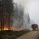 Große Waldbrände in Schweden außer Kontrolle