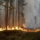 Sweden_Wildfire_62260.jpg