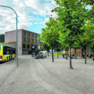1_2kivi_wolfurt__corneliahefel034.jpg