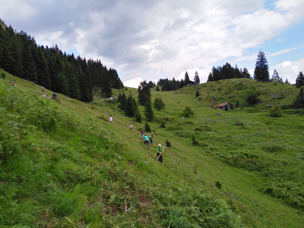 AlpGavar3_c_NaturschutzvereinVerwallKlostertalerBergwaelder.jpg