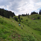 AlpGavar3_c_NaturschutzvereinVerwallKlostertalerBergwaelder.jpg