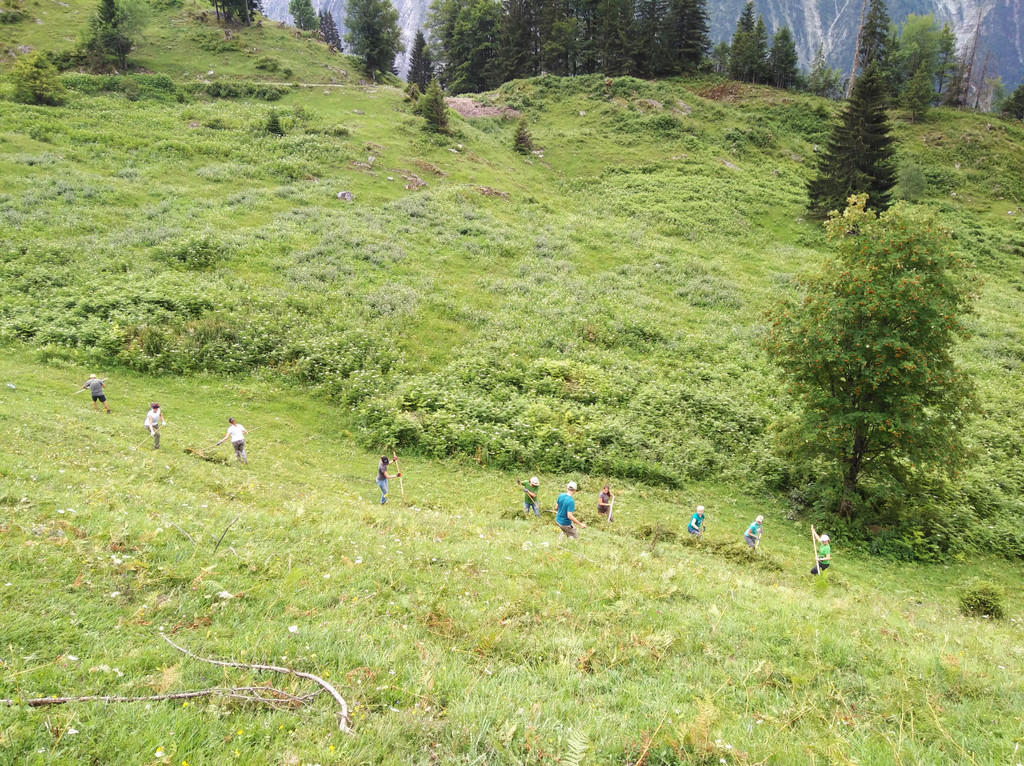 AlpGavar4_c_NaturschutzvereinVerwallKlostertalerBergwaelder.jpg