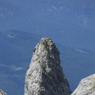 pflughoerndl.jpg
