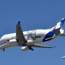 AFP_17S7A5.jpg