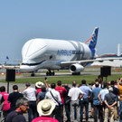 AFP_17S78Z.jpg