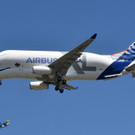 AFP_17S79P.jpg