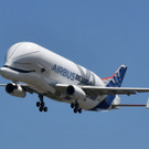AFP_17S79T.jpg