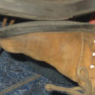 1198804.jpg
