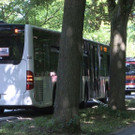 AFP_17T6A2.jpg