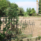 IMG_7284.JPG