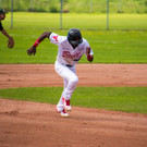 Hard Bulls Baseball