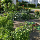 Feldkirch Dobler G .JPG