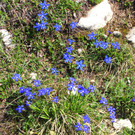 IMG_2561.JPG