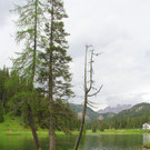 IMG_2665.JPG