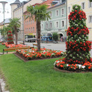 IMG_2800.JPG