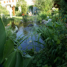 Feldkirch Dobler G  _4_.JPG