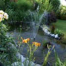 Feldkirch Dobler G  _6_.JPG